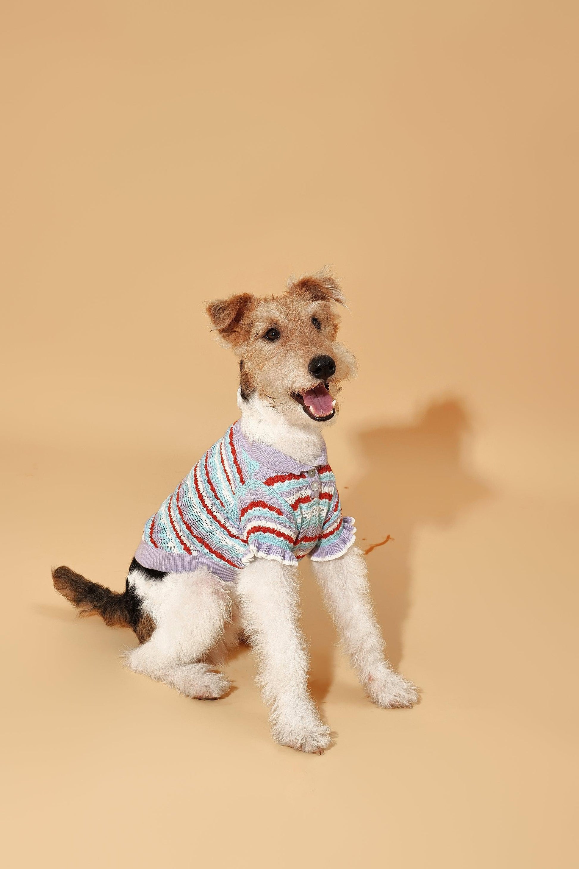 BarkBarkBaby Pet & Me lavender ruffle crochet short sleeve polo shirt for pets, featuring a spring-summer sweater design.