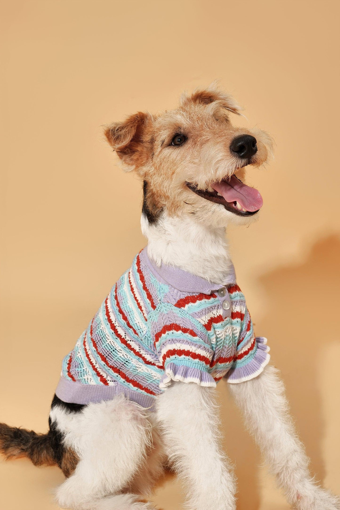Pet & Me lavender crochet short sleeve polo sweater by BarkBarkBaby with ruffle details, perfect for spring and summer.