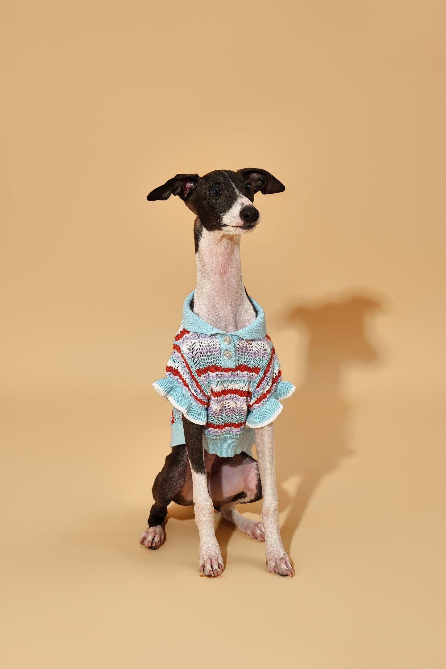 Pet & Me spring summer ocean blue ruffle crochet short sleeve polo sweater by BarkBarkBaby, featuring a stylish crochet design.