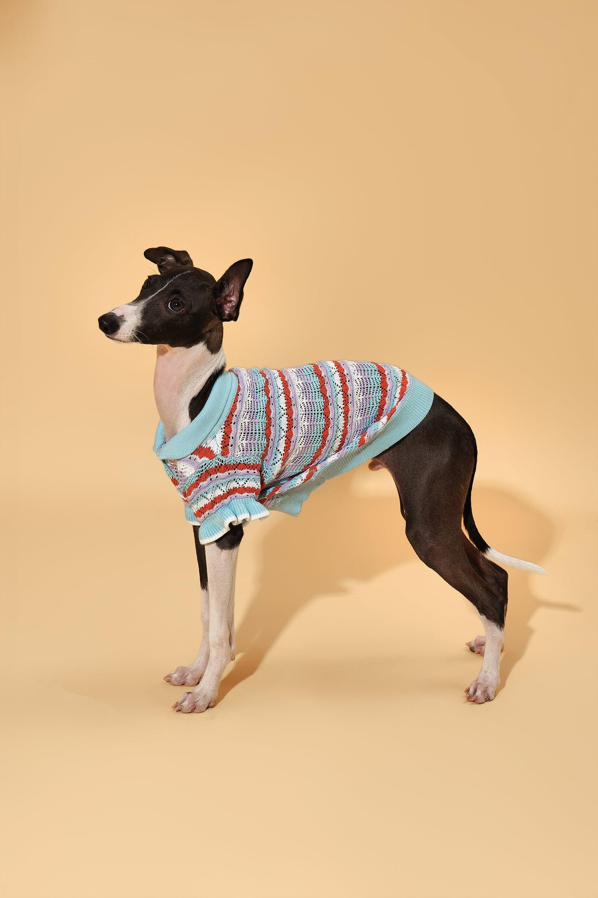 Pet & Me Spring Summer Ocean Blue crochet polo sweater with ruffle short sleeves for pets, by BarkBarkBaby.