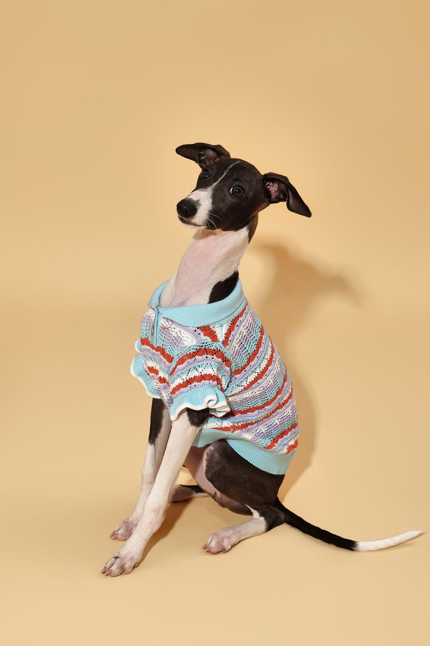 Pet & Me Spring Summer ocean blue crochet polo sweater with ruffle short sleeves for dogs, by BarkBarkBaby.