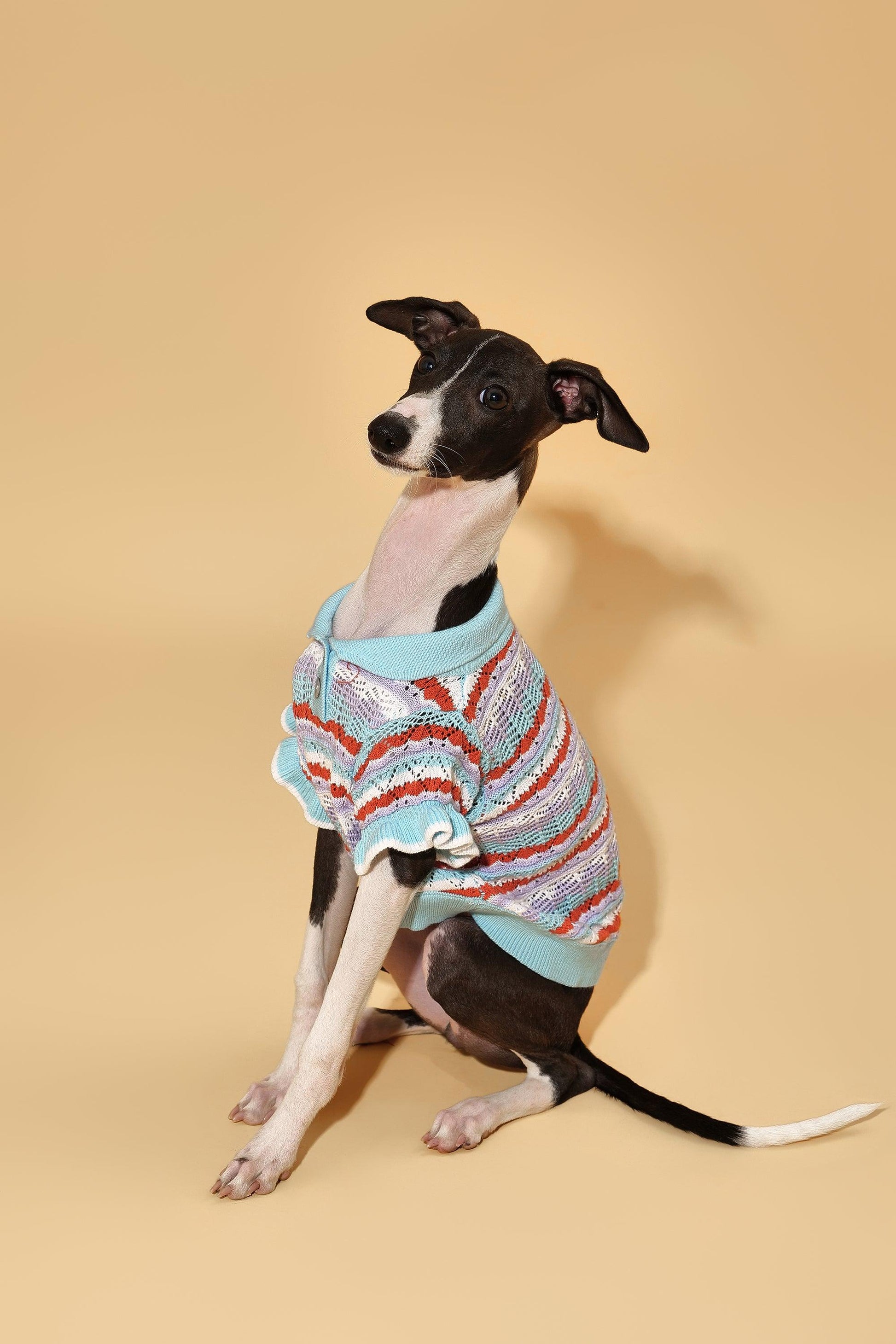 Pet & Me Spring Summer ocean blue crochet polo sweater with ruffle short sleeves for dogs, by BarkBarkBaby.