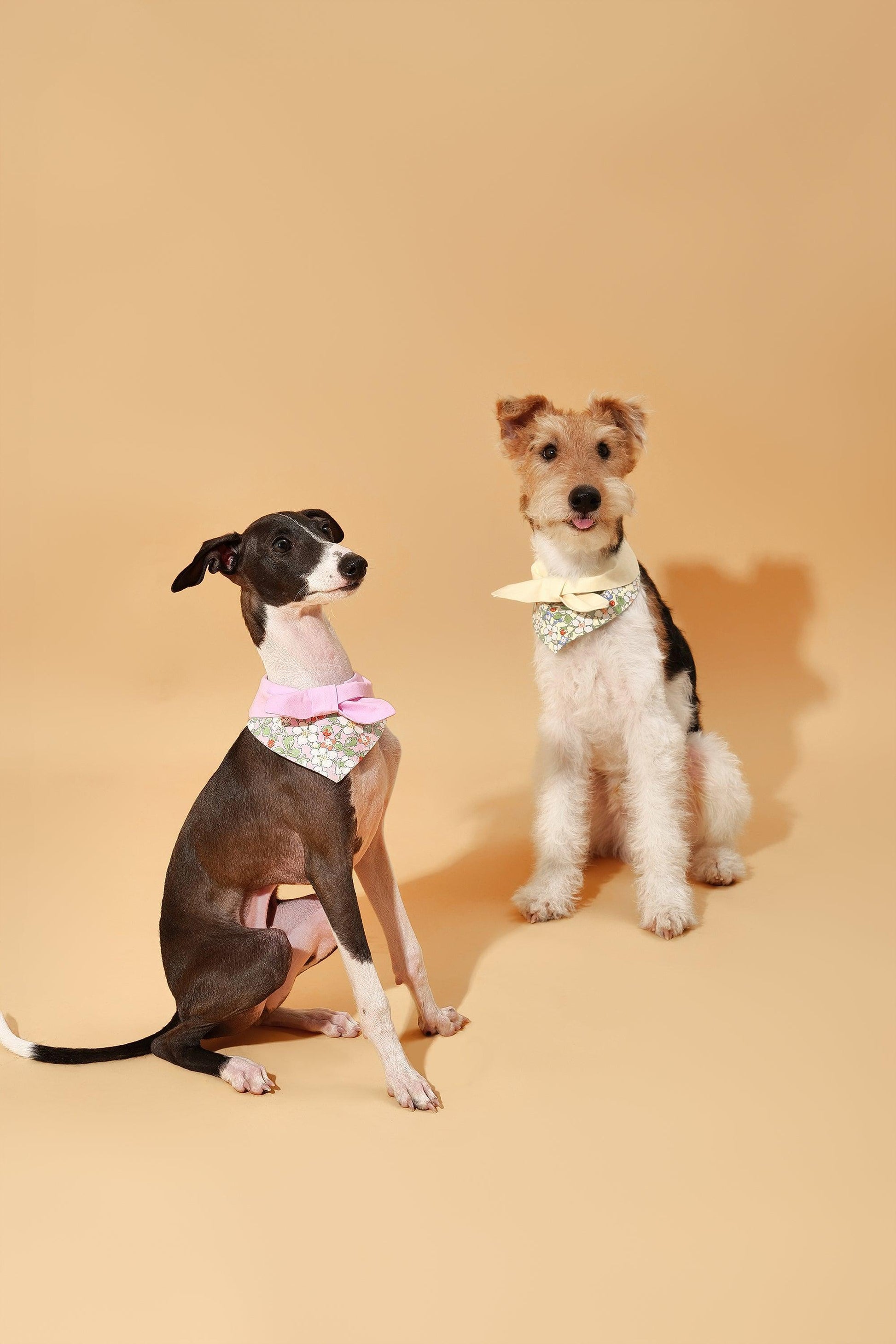 Pink floral bandana for pets from BarkBarkBaby featuring a charming garden design, perfect for stylish furry friends.