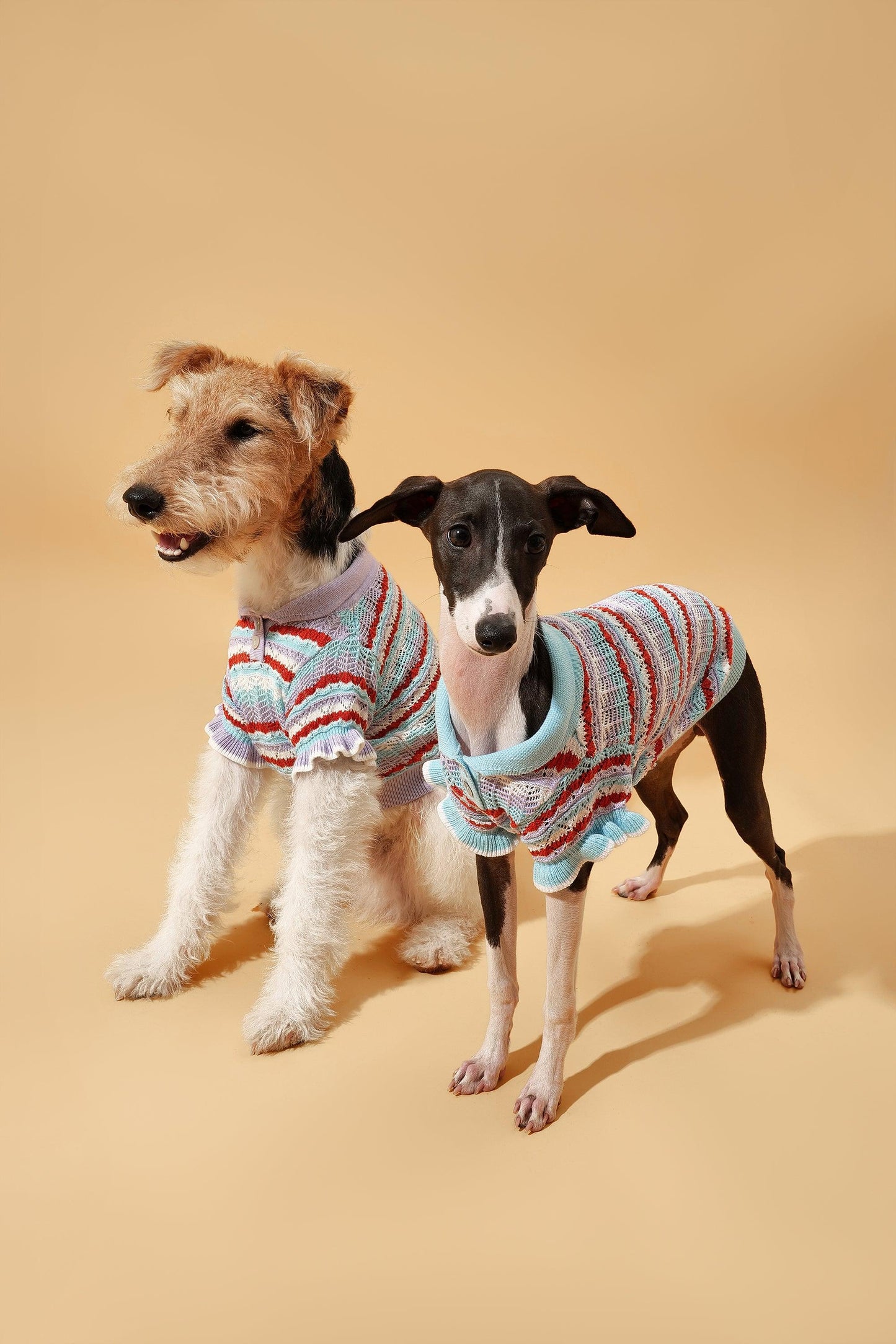 BarkBarkBaby Pet & Me lavender ruffle crochet short sleeve polo shirt, spring summer sweater for pets, with ruffle details.
