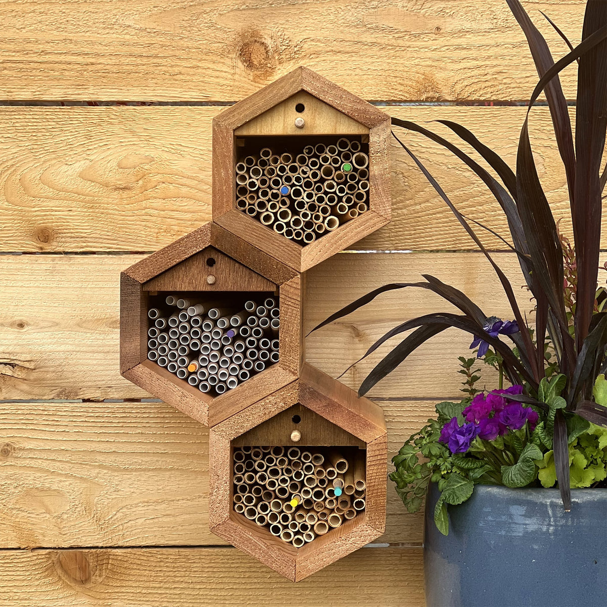 Small hex-shaped bee house from CrownBees with stacked wooden compartments, designed for solitary bees.