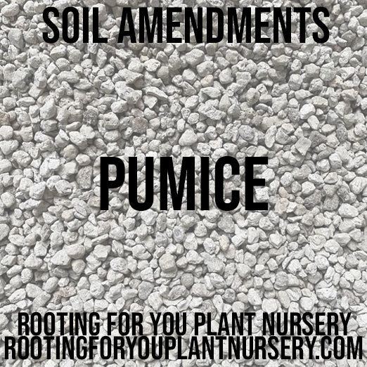 Pumice soil amendment bag from Rooting For You Plant Nursery, showing light gray porous pumice stones for improved drainage and aeration.