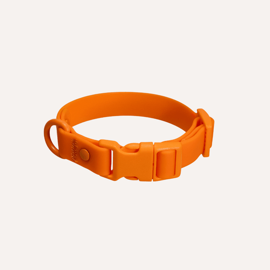 PVC dog collar by Tilley + Me in vibrant poppy color, waterproof, durable, and odor-resistant for all-weather use.