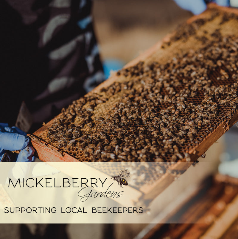 Jar of Mickelberry Gardens Pollen Honey Tonic with Pacific Northwest bee pollen from Willamette Valley beekeepers.