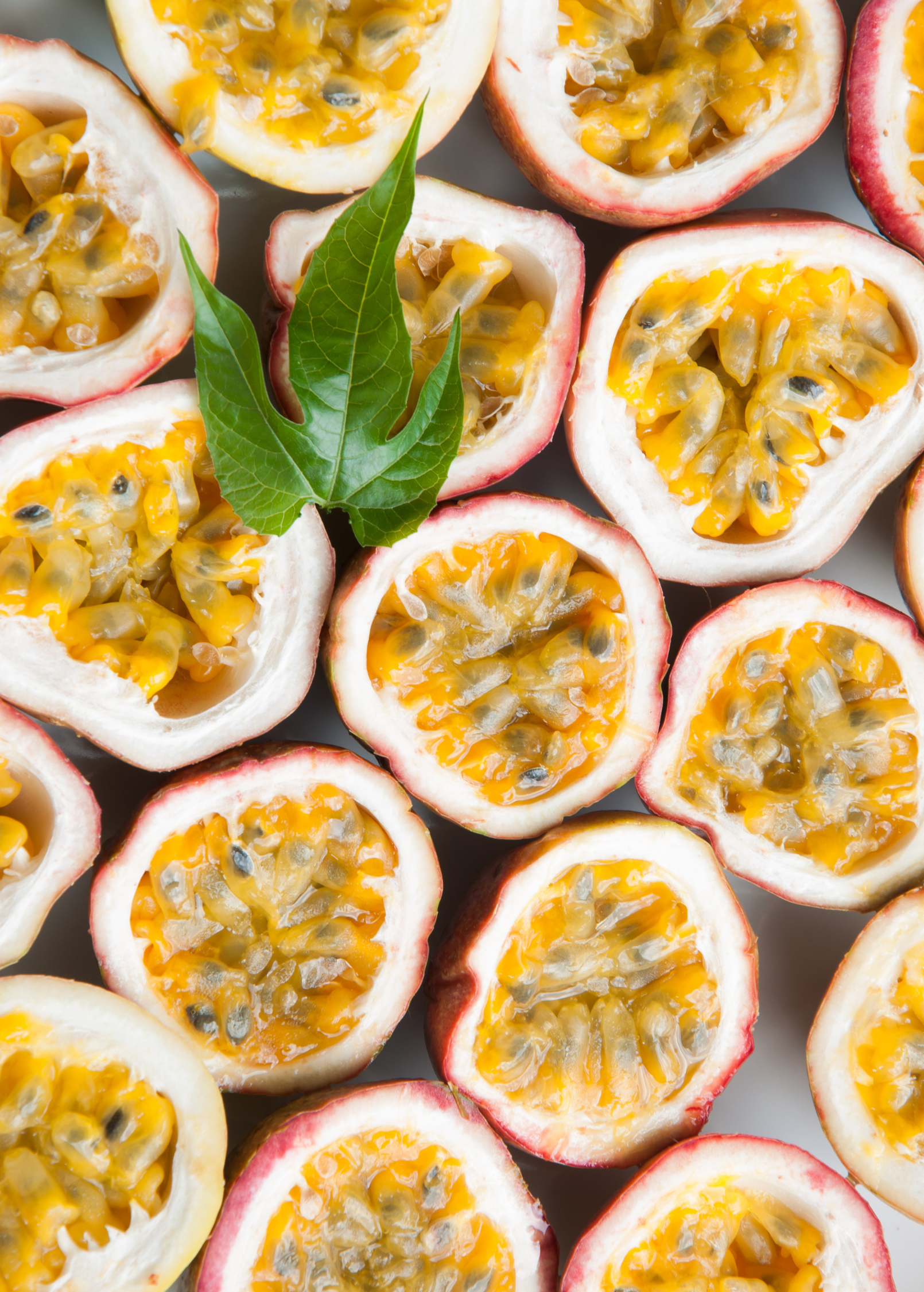 Passion fruit 'Panama Red' plant in a pot, showcasing vibrant foliage and developing passion fruits, by Sow Exotic.