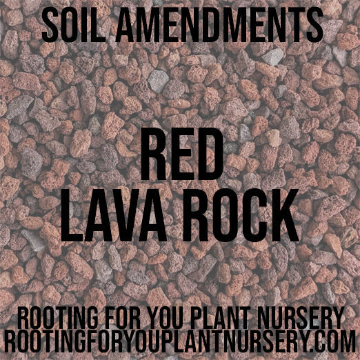 Red lava rock soil amendment from Rooting For You Plant Nursery, showing porous red volcanic rock for gardening and soil enrichment.