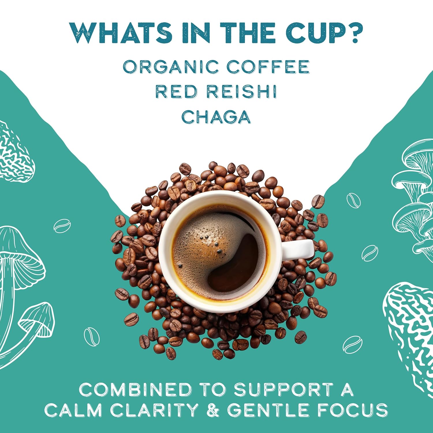Decaffeinated Red Reishi and Chaga mushroom coffee blend by GO MENTAL MUSHROOM COFFEE, featuring a jar of adaptogenic mushroom coffee mix.