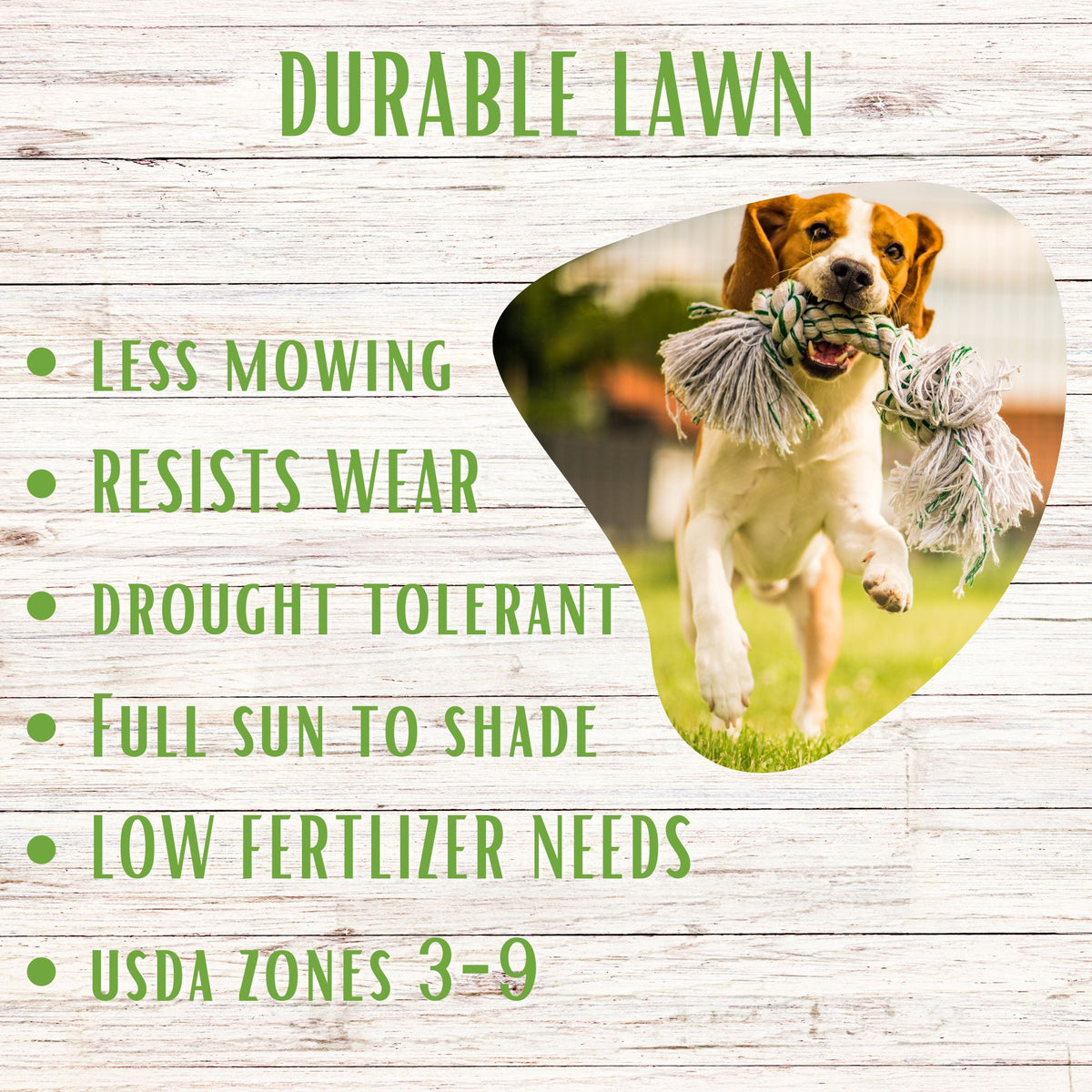 Durable lawn grass seed from RUFF and TUFF! by Flawn Seed Kits, shown in seed tape for easy planting and healthy grass growth.