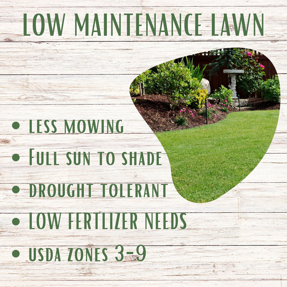 Flawn Seed Kits RUFF and TUFF! grass seed tape for low-maintenance, durable lawn growth, shown in a close-up image.