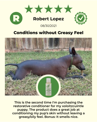ReNewedPet 4-Hairless Pets Sensitive Conditioner bottle with label, designed for gentle pet skin care and hairless pet grooming.