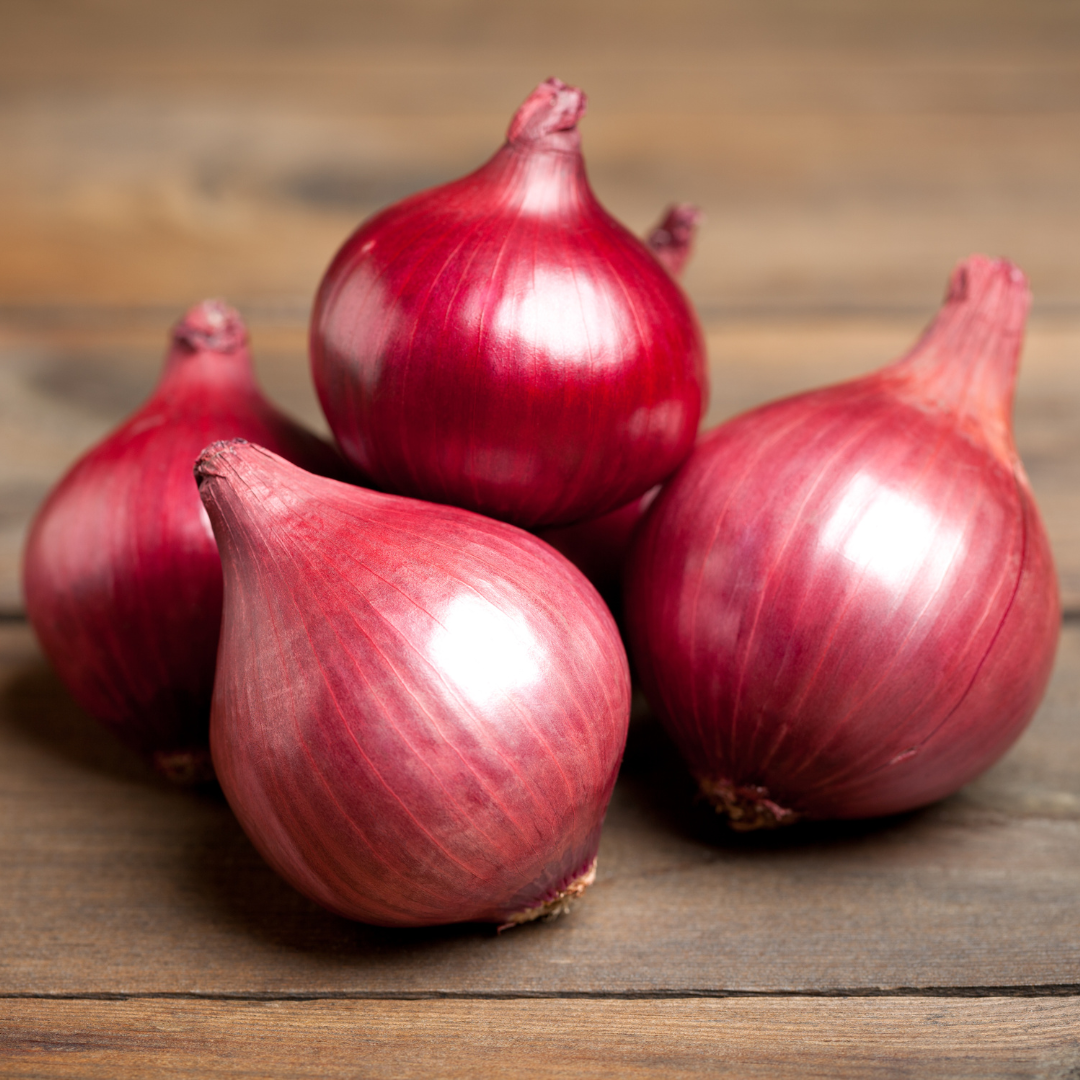 Red Rock onion plants from The Farm On Central, featuring vibrant red bulbs and healthy green tops.