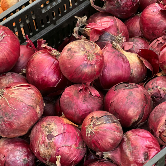Redwing Onion plants from The Farm On Central, healthy green onion bulbs with lush leaves ready for planting.