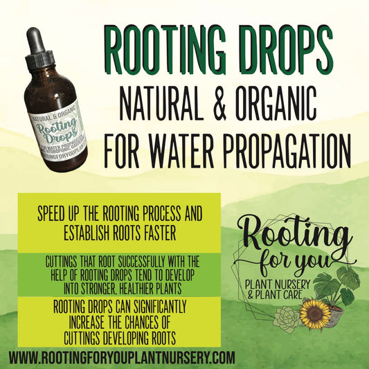 Organic vegan rooting drops by Rooting For You Plant Nursery, 4oz bottle for promoting healthy plant root development.
