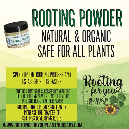 Vegan organic rooting powder from Rooting For You Plant Nursery, suitable for all soil types, used for plant propagation.