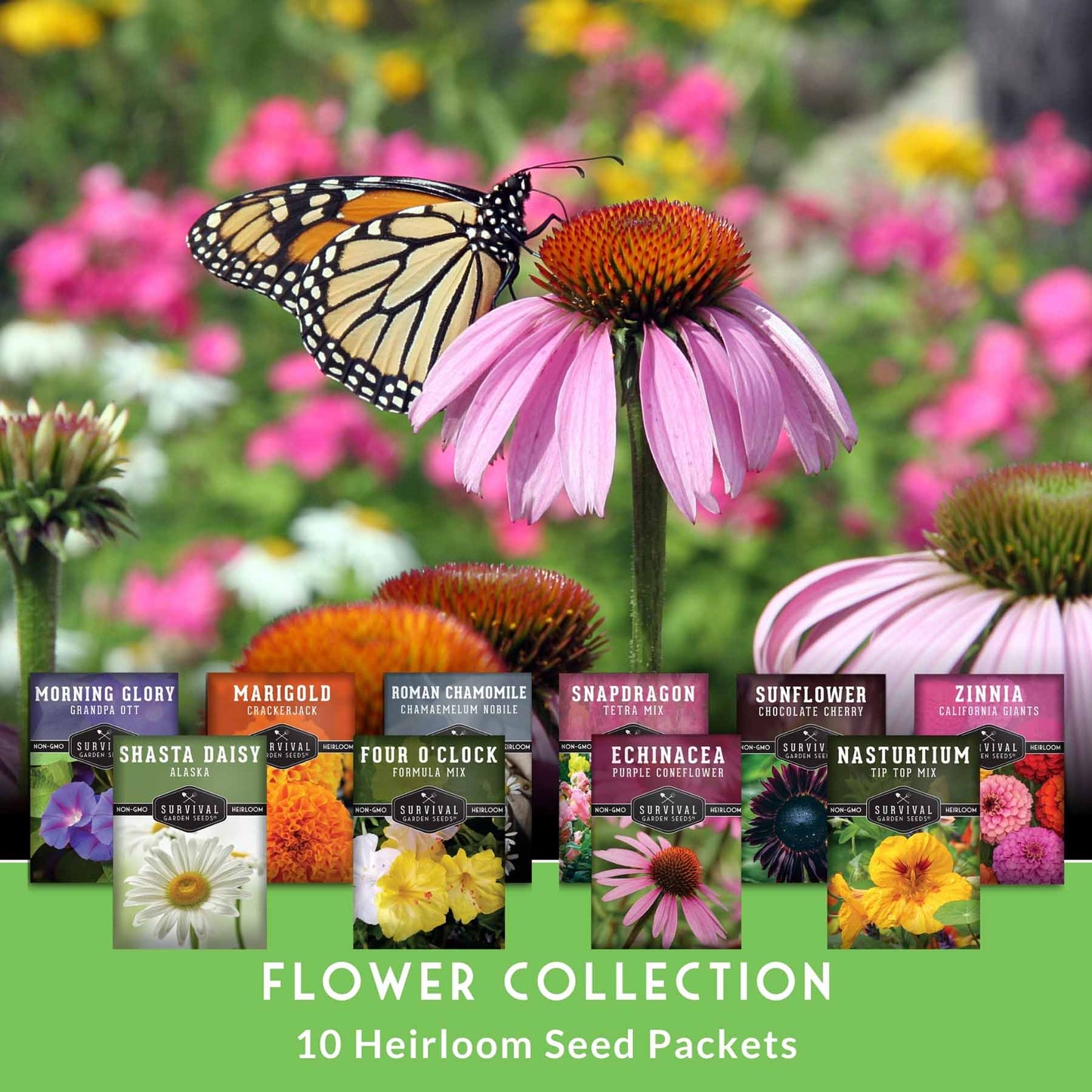 Assorted colorful heirloom flower seeds from SurvivalGardenSeeds, including annual and perennial varieties for pollinator gardens.