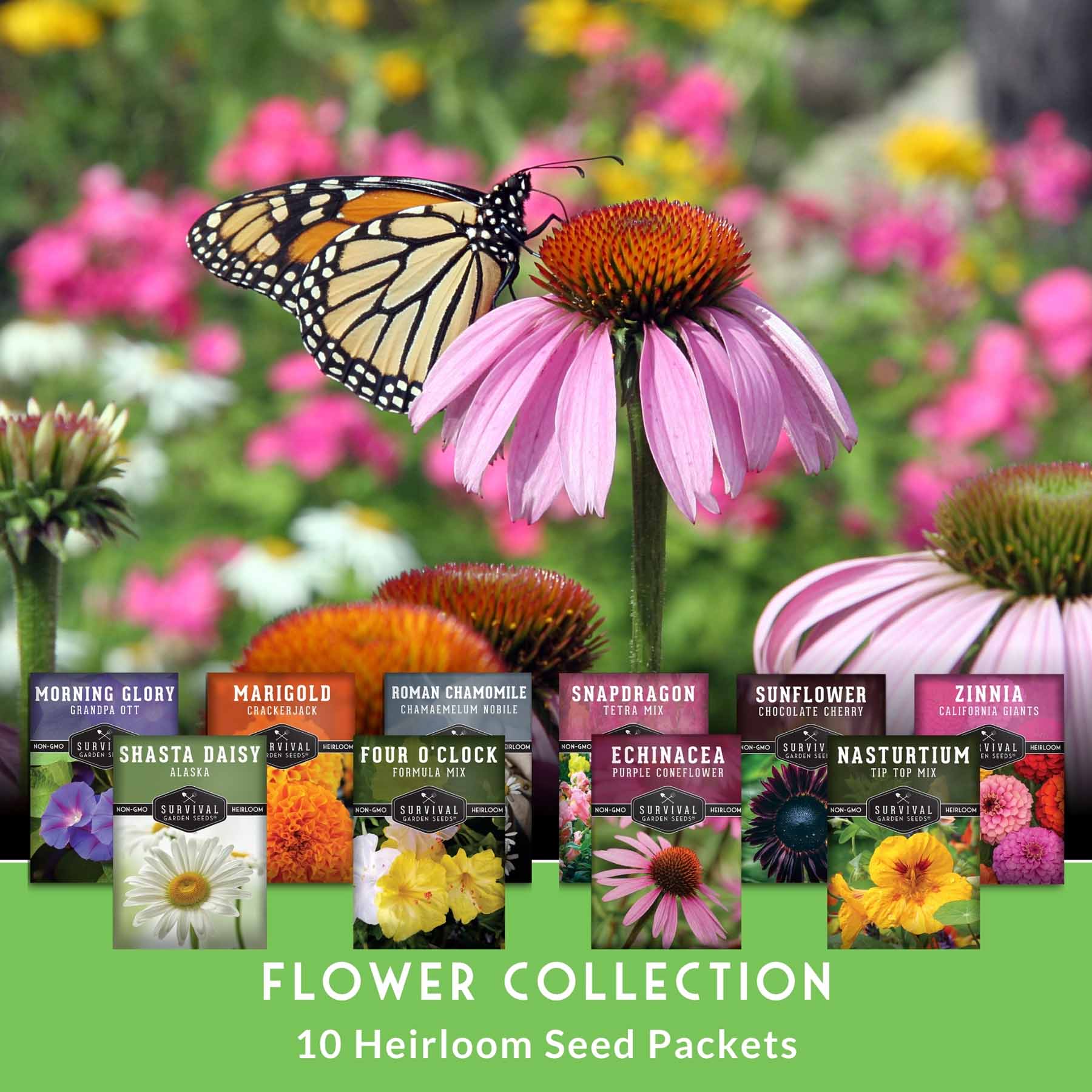 Assorted colorful heirloom flower seeds from SurvivalGardenSeeds, including annual and perennial varieties for pollinator gardens.