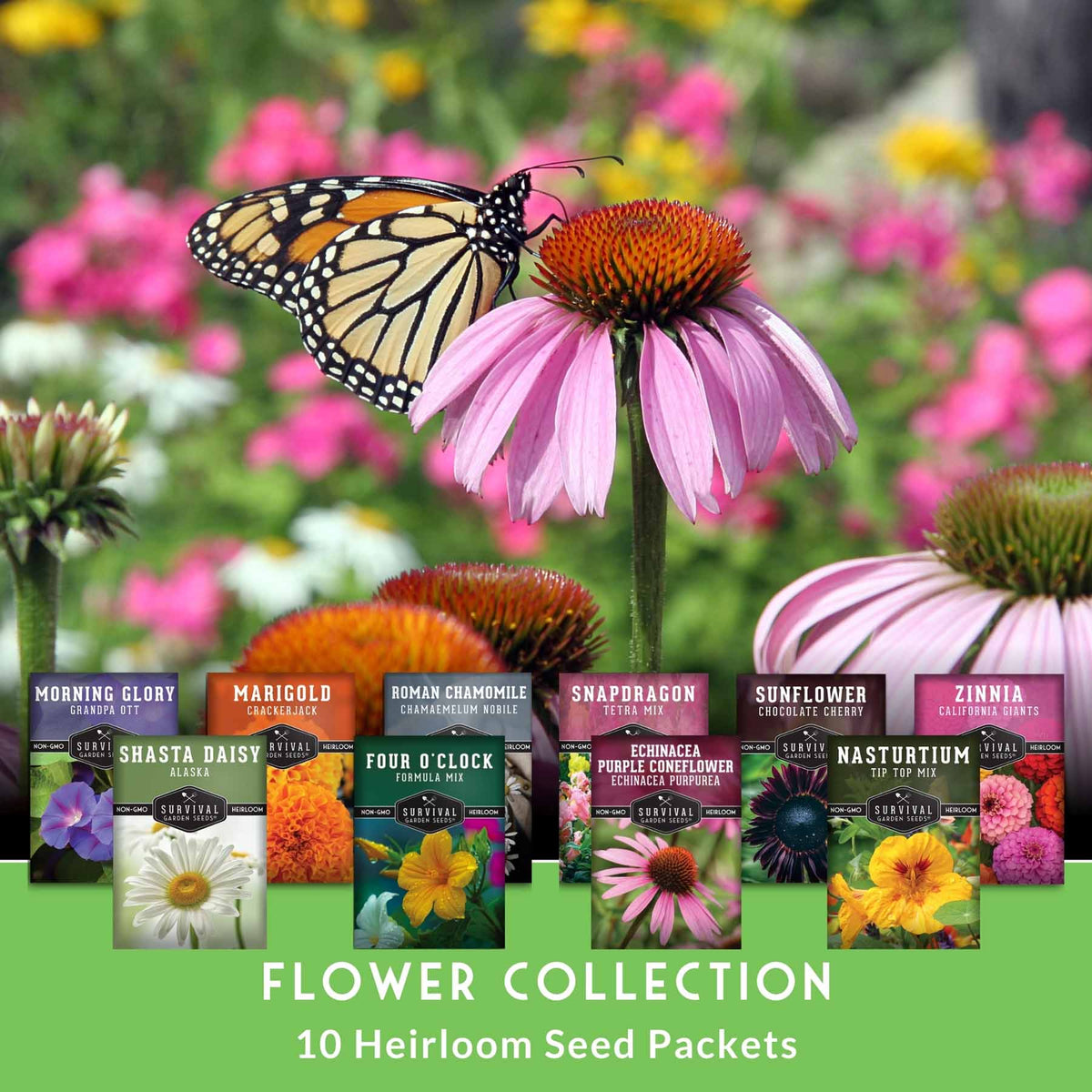 10-variety heirloom flower seed collection by SurvivalGardenSeeds, includes colorful annuals and perennials for pollinator gardens.