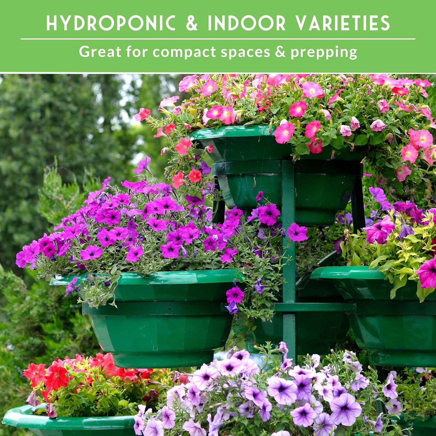 Assorted vegetable seeds in a SurvivalGardenSeeds 20-variety apartment kit for indoor and hydroponic gardening, non-GMO heirloom seeds.