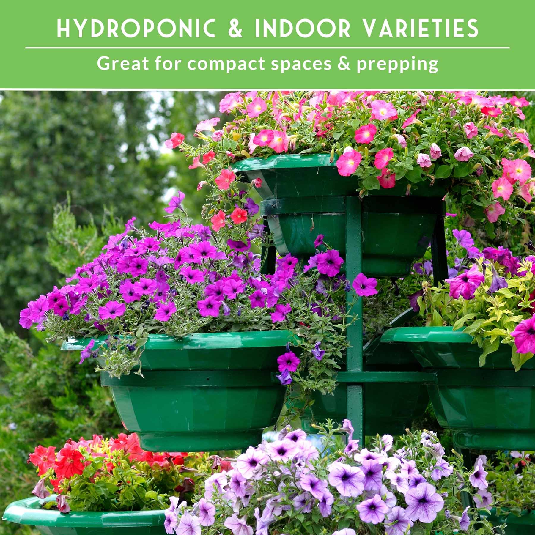 Assorted vegetable seeds in a SurvivalGardenSeeds 20-variety apartment kit for indoor and hydroponic gardening, non-GMO heirloom seeds.