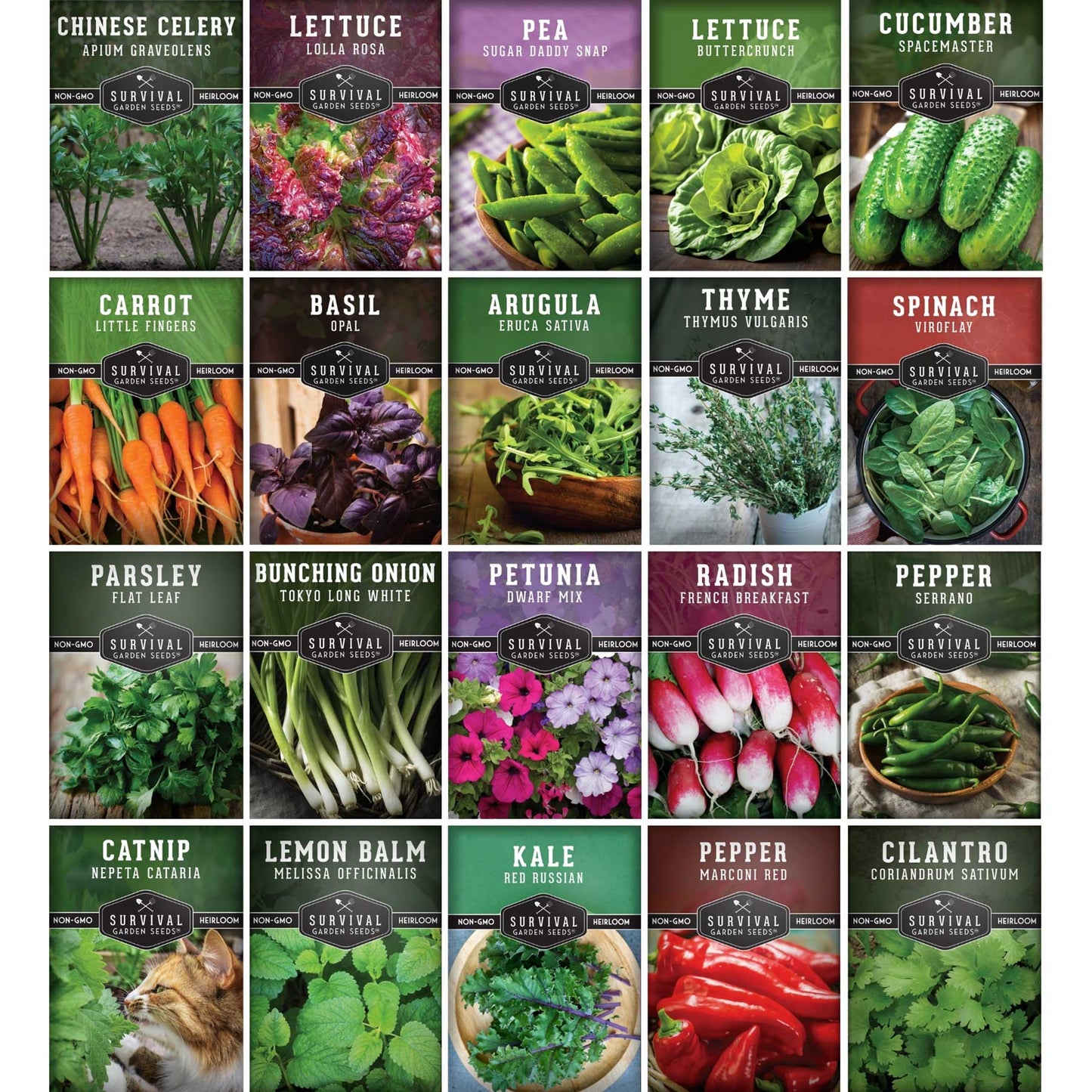 Assorted non-GMO heirloom vegetable seeds in a variety pack for indoor and small-space hydroponic gardening by SurvivalGardenSeeds.