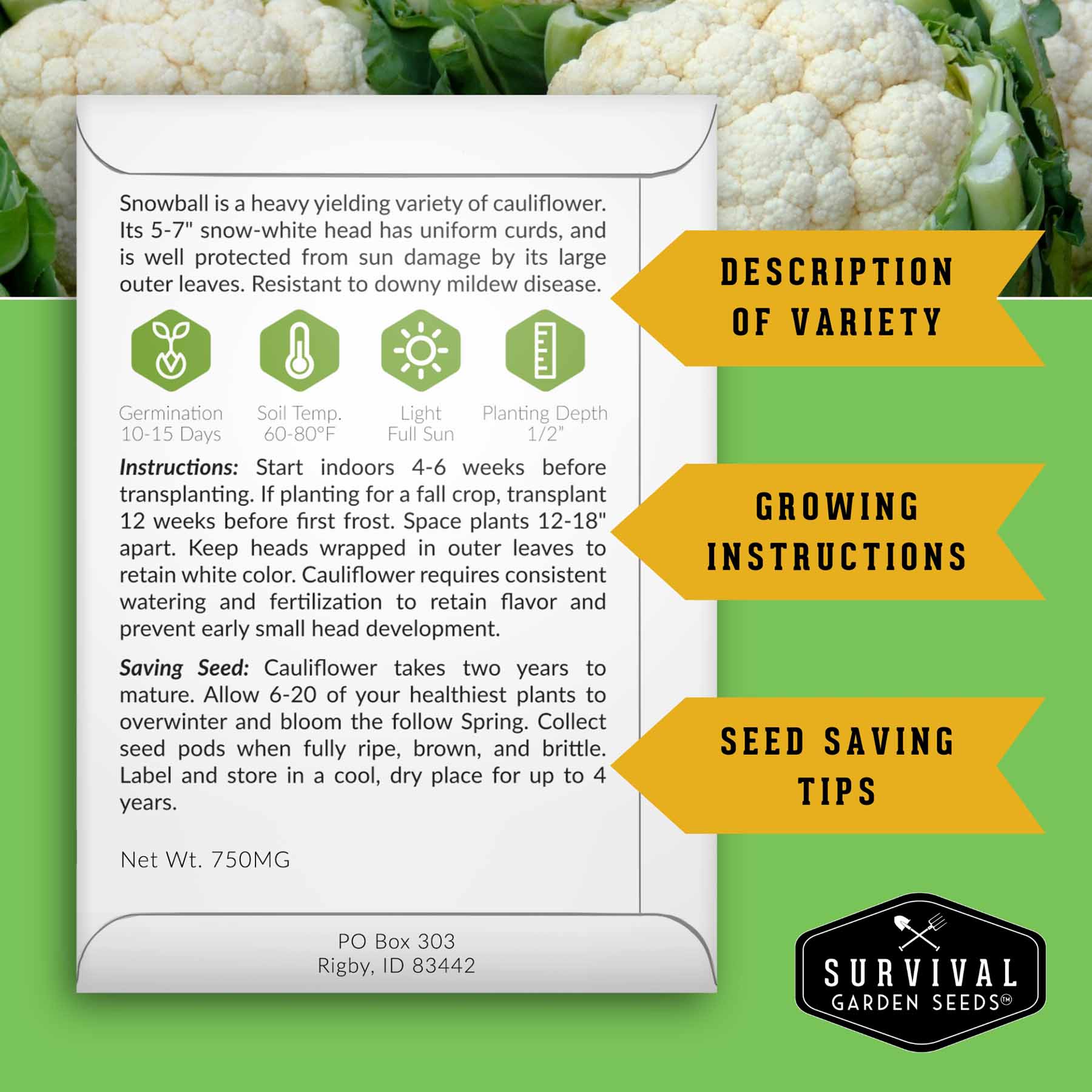 Complete Survival Garden Kit with vegetable seeds from SurvivalGardenSeeds, including 100 seeds for growing food at home.