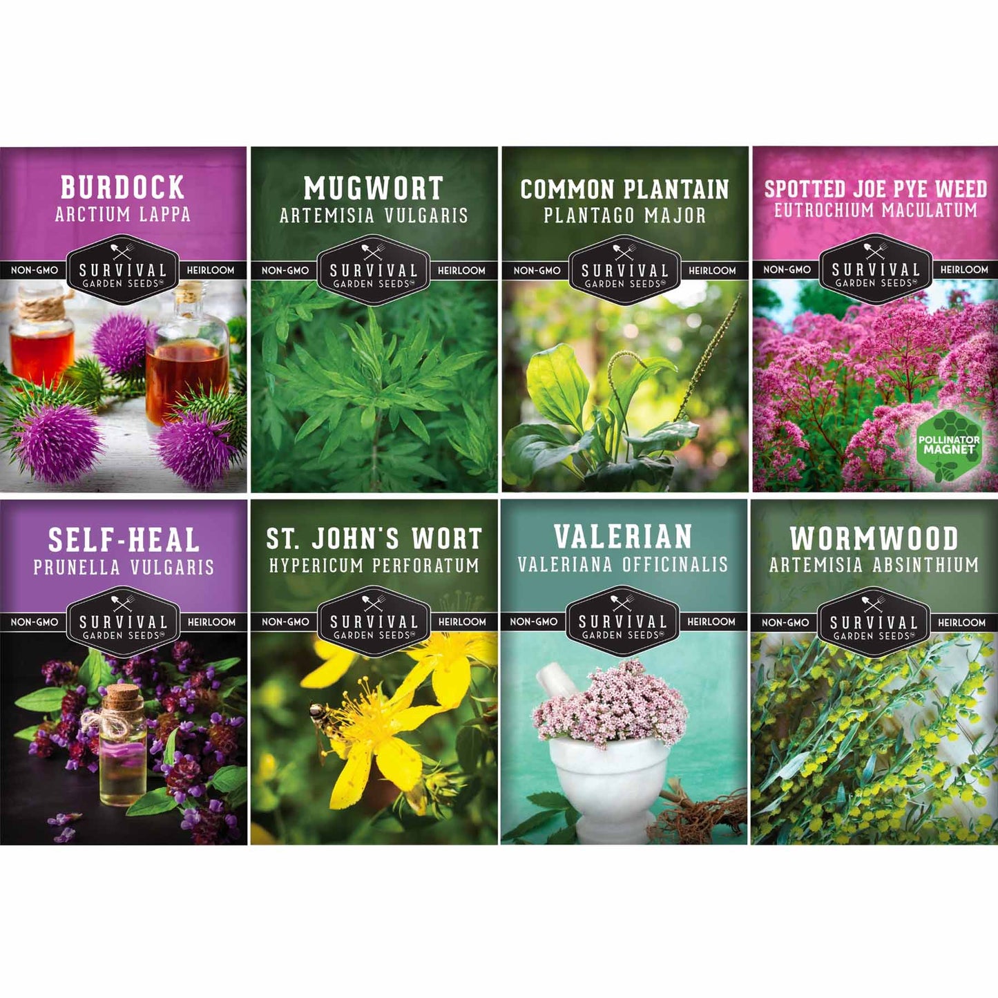Herbalist Bundle with 8 heirloom perennial and biennial herb seeds for advanced apothecary gardens from SurvivalGardenSeeds.