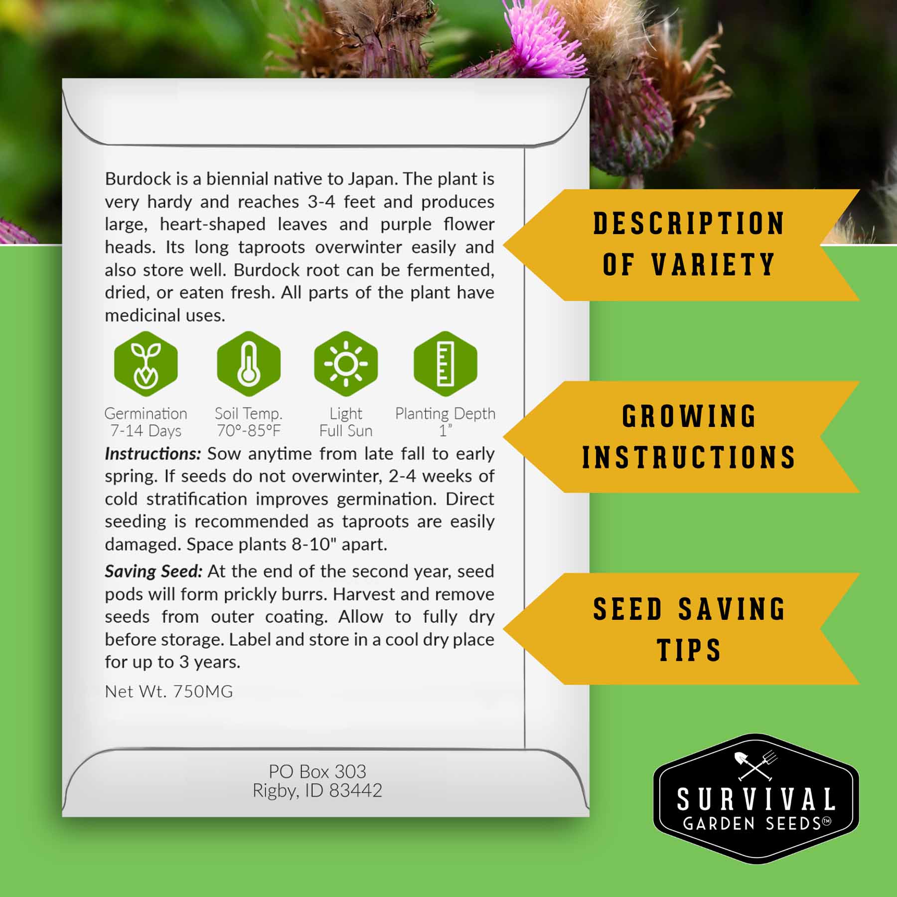 Herbalist Bundle of 8 heirloom perennial and biennial herb seeds for advanced apothecary gardens, by SurvivalGardenSeeds.