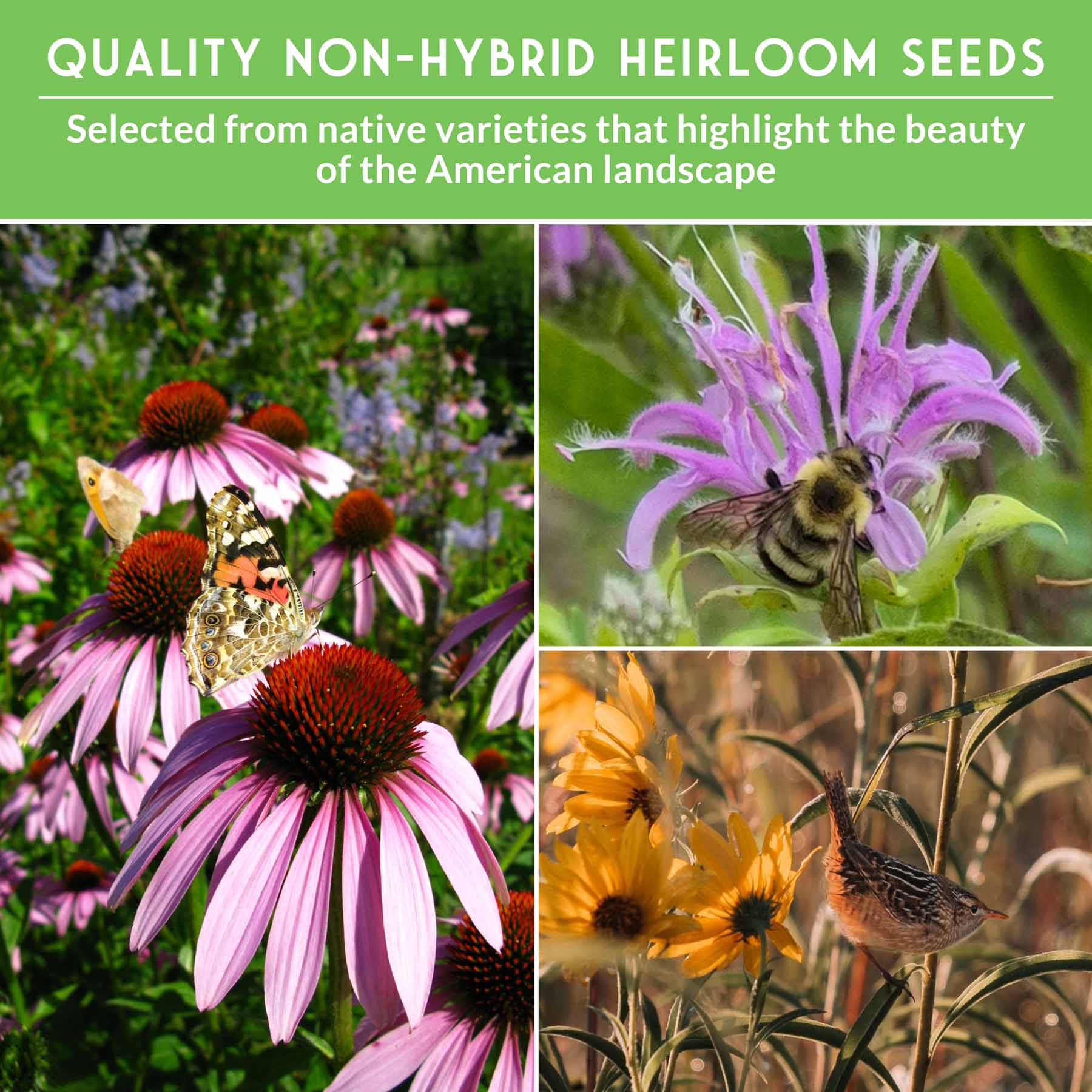 Native Habitat Seed Collection by SurvivalGardenSeeds featuring 24 native wildflower and grass seeds for pollinators and meadows