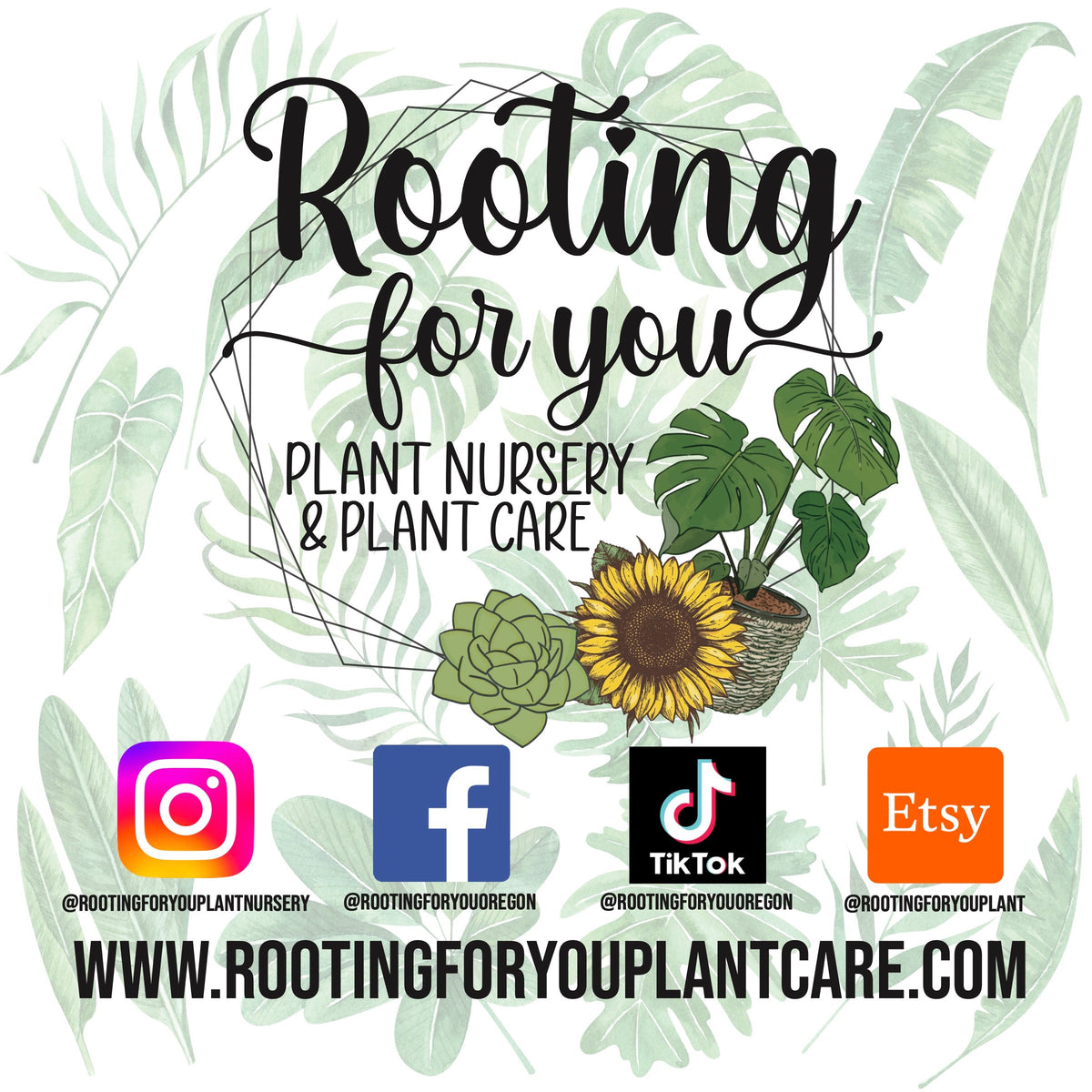 Organic worm tea bags by Rooting For You Plant Nursery, showing four brewable tea bags for nourishing plants and garden watering.