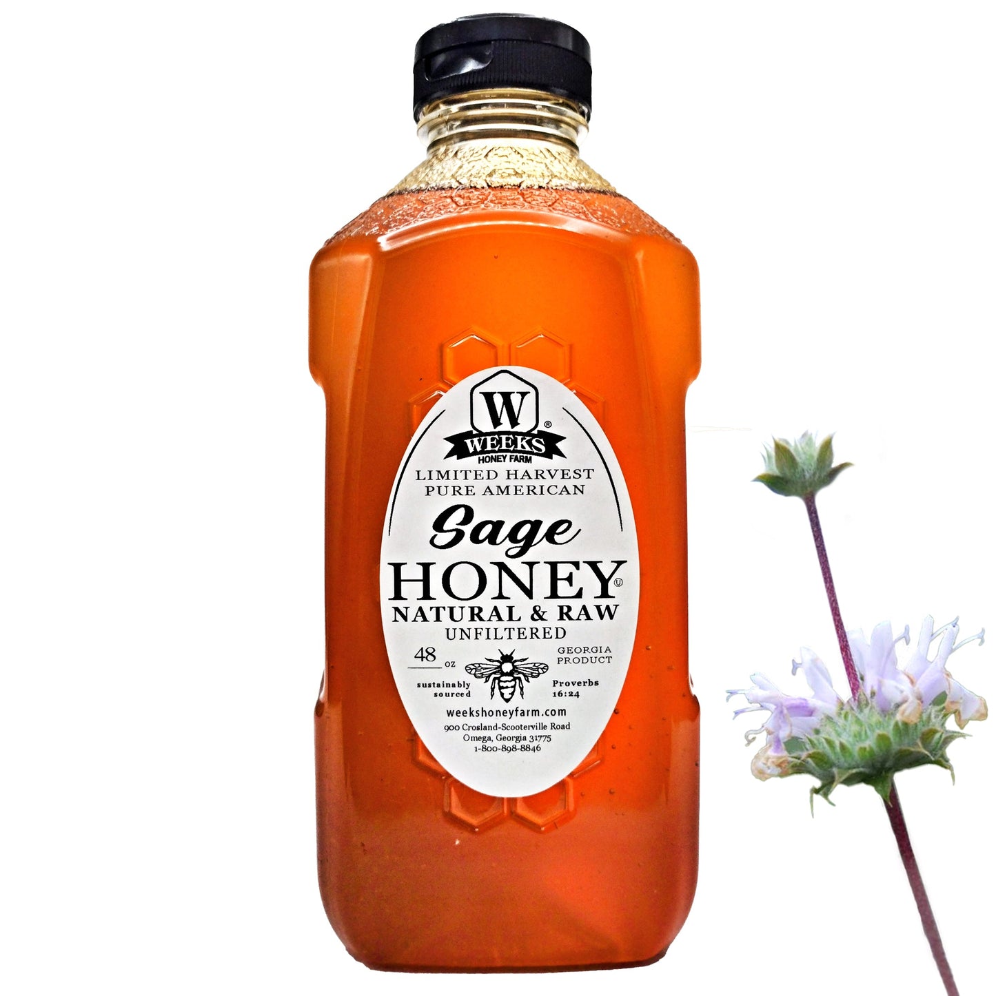 Raw sage honey from Weeks Honey Farm in a 48 oz jar, showcasing golden honey with sage blossoms in the background.