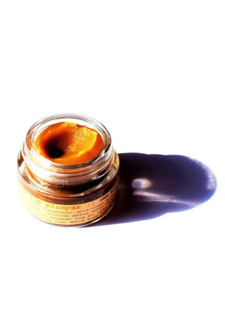 Plant Makeup Cinnamon Lip Plumper displaying a clear tube of lip gloss with cinnamon scent and natural lip-enhancing formula.