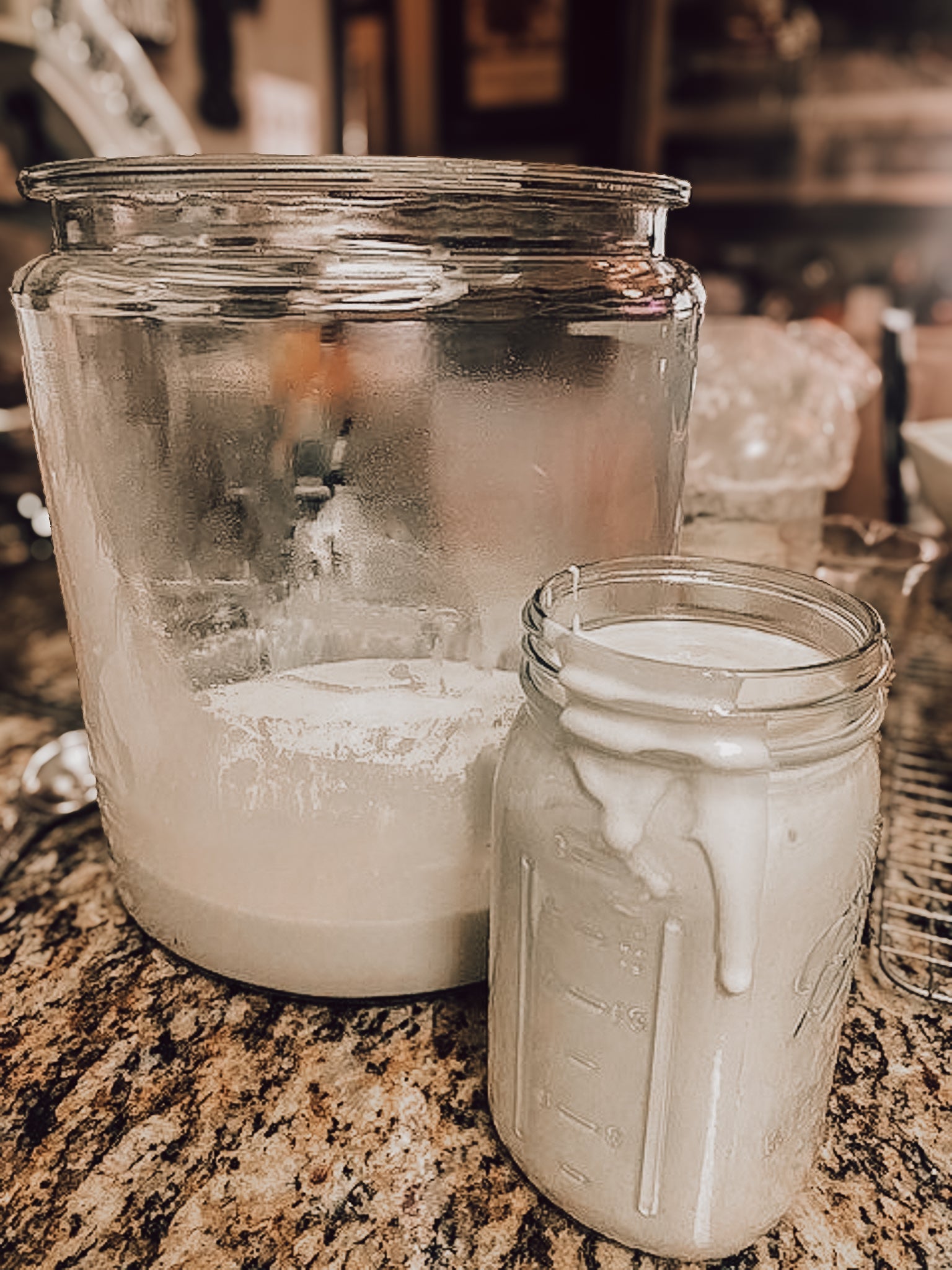 Onic Brands LLC sourdough starter in a glass jar with bubbling dough ready for baking.