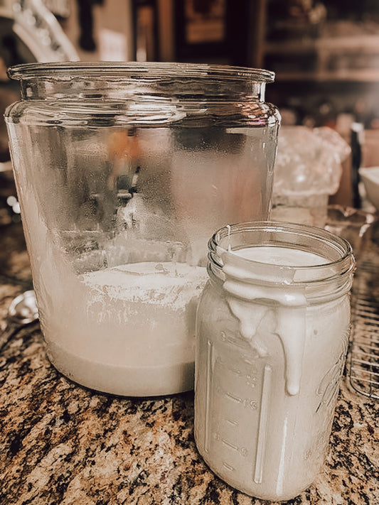 Onic Brands LLC sourdough starter in a glass jar, showing bubbling fermentation process and active culture for baking bread.