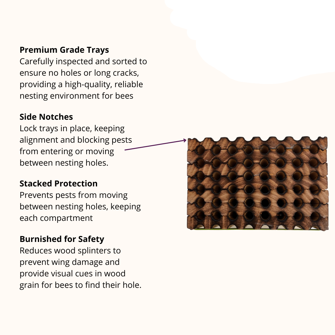 Spring reusable wood tray for mason bees by CrownBees, featuring 8mm nesting holes and natural wood finish.