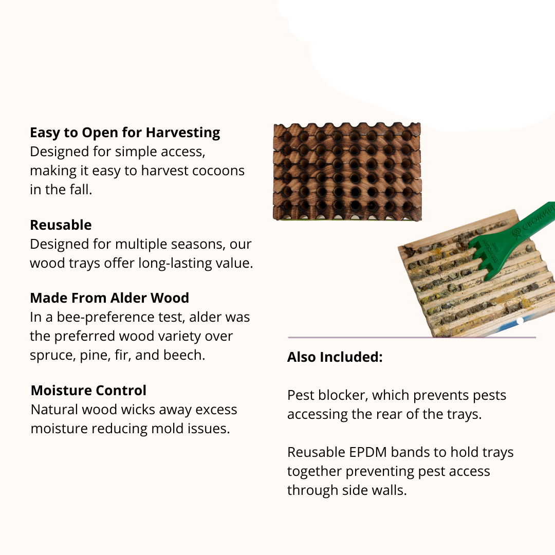 Spring reusable wood tray for mason bees by CrownBees, featuring 8mm holes for bee nesting and easy cleaning.