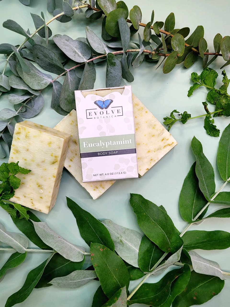 Evolve Botanica Eucalyptamint standard soap bar with fresh mint and eucalyptus scent, showing the soap's rectangular shape and packaging.