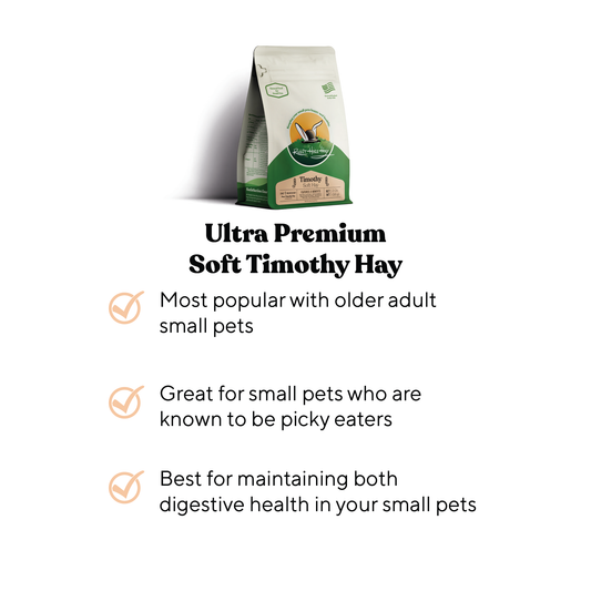 Fresh Rabbit Hole Hay Ultra Premium Soft Timothy Hay, showing vibrant, soft hay suitable for small pets like rabbits and guinea pigs.