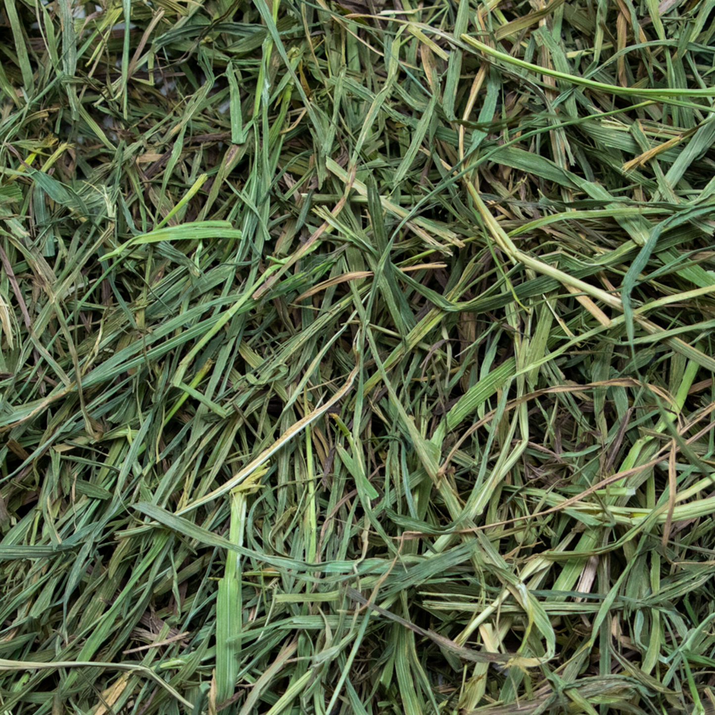 Rabbit Hole Hay Ultra Premium Soft Timothy Hay for small animals, shown in a clear image highlighting its fresh, soft texture.