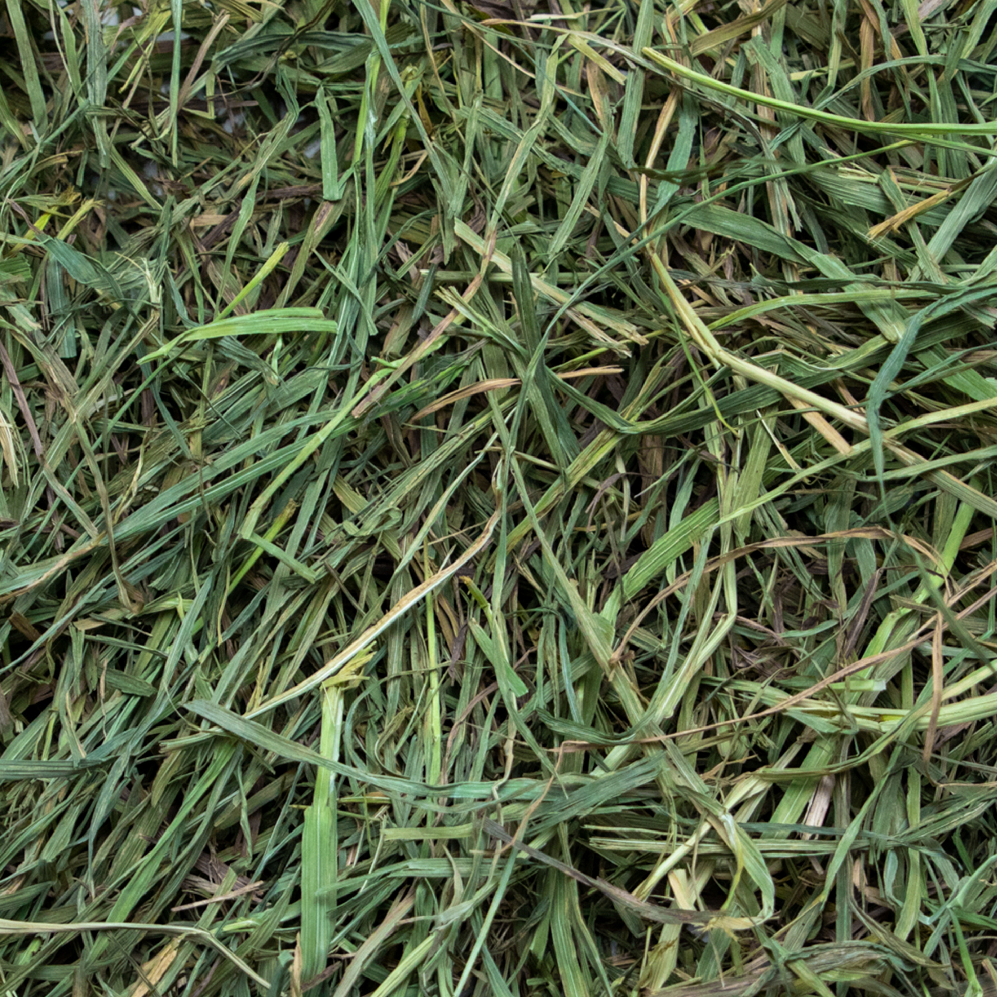 Rabbit Hole Hay Ultra Premium Soft Timothy Hay for small animals, shown in a clear image highlighting its fresh, soft texture.
