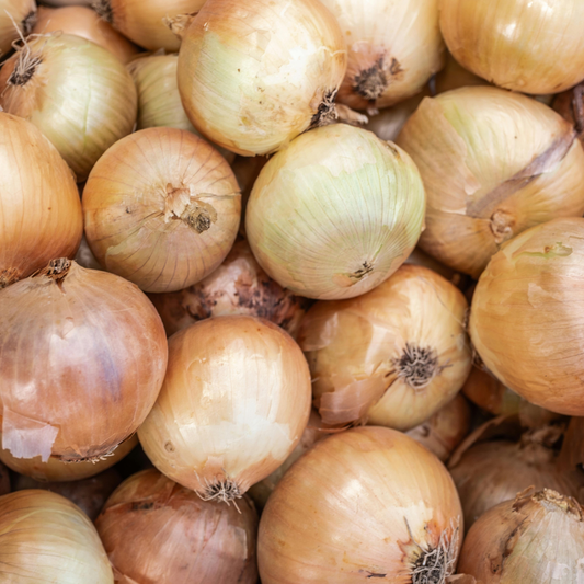 Texas Super Sweet Onion plants from The Farm On Central, fresh green onion bulbs ready for planting.