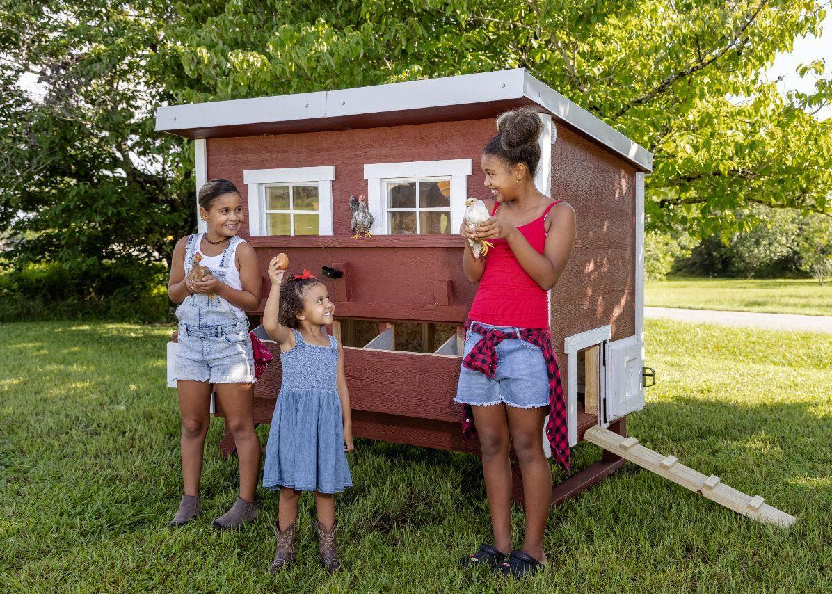 Large OverEZ Chicken Coop with three chickens inside, featuring spacious design and sturdy construction for up to 15 chickens.