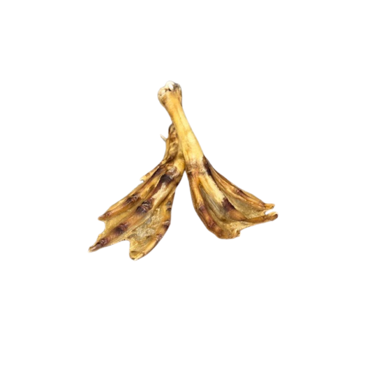 Dehydrated duck feet treat for dogs, single ingredient snack by Bear's Bites, showing the crispy, natural duck feet.