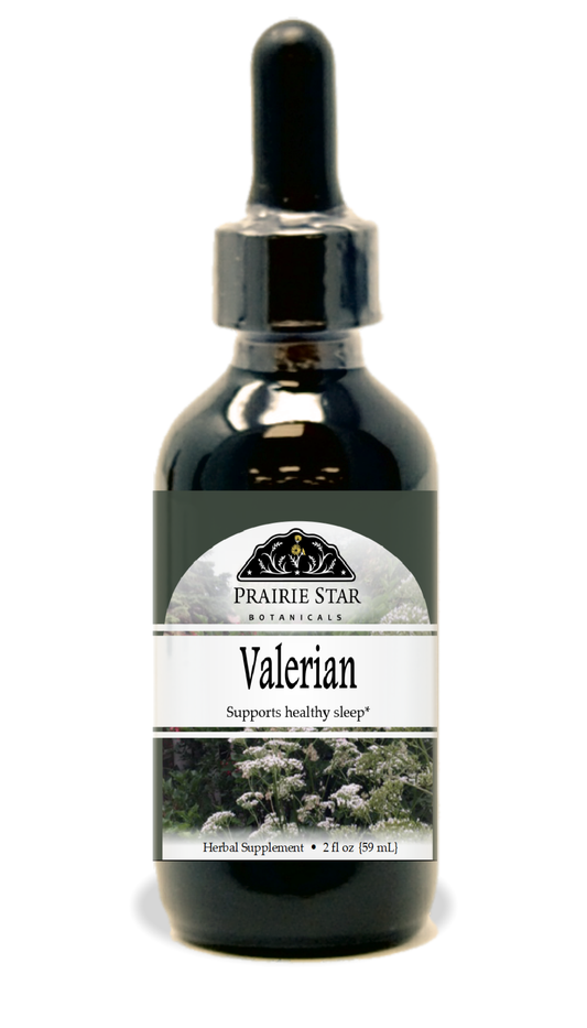 Prairie Star Botanicals Valerian singles herb in a labeled package, showcasing the dried valerian root ready for use.