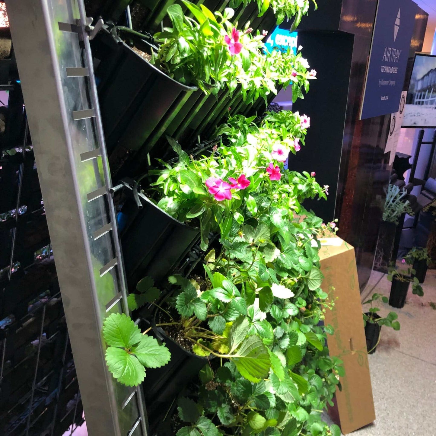Varden™ Sleeve from Bootstrap Farmer installed around plants with colorful flowers in a garden setting.