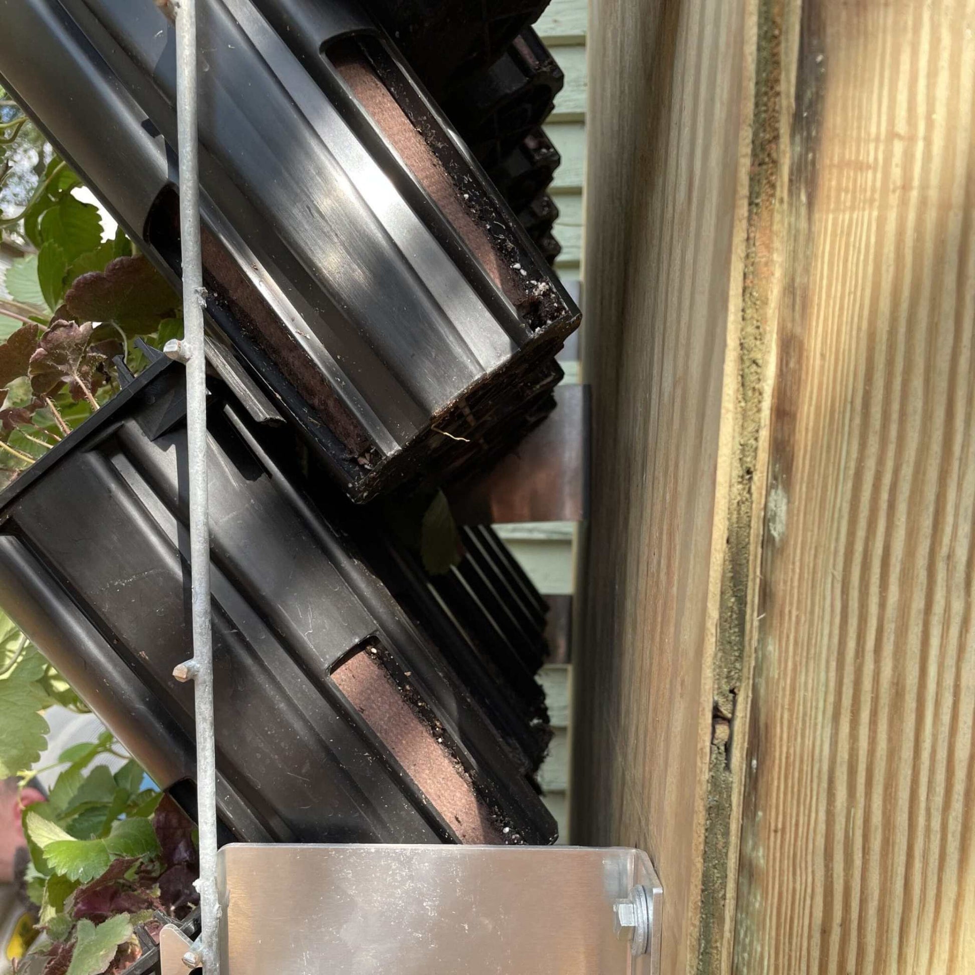 Varden™ Sleeve by Bootstrap Farmer installed on a plant, providing protection and support for crops in an outdoor garden setting.