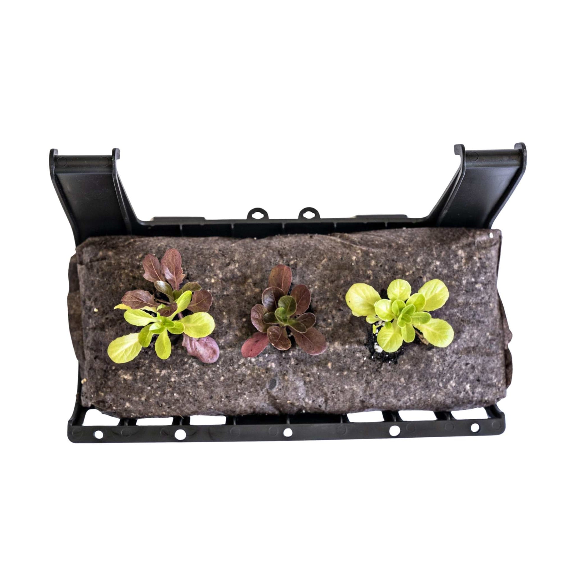 Varden™ trays from Bootstrap Farmer with Elle Pot Pouch, showing multiple plant trays and portable plant pouches for gardening.
